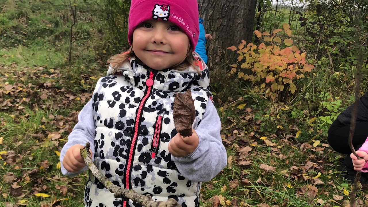 Berušky venku 🐞