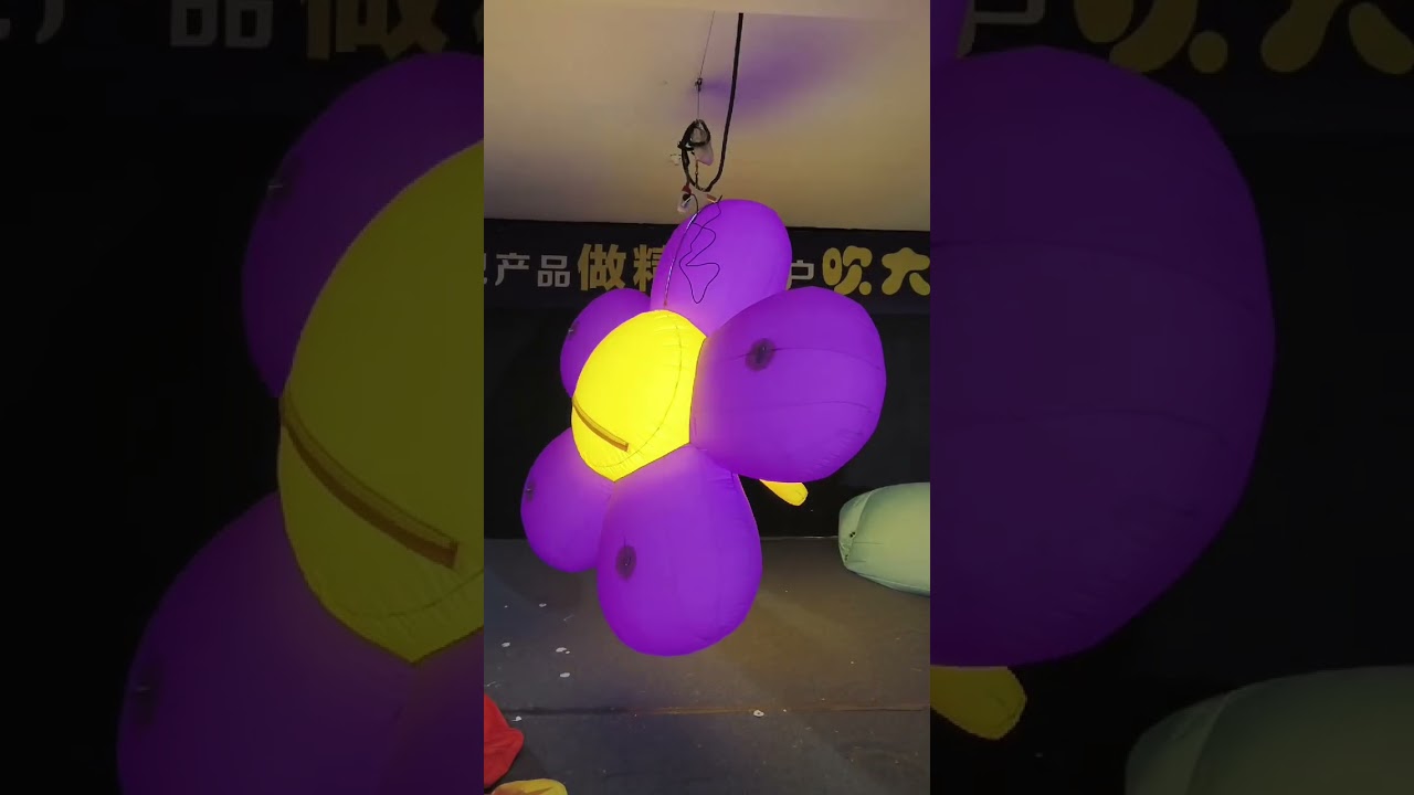 Digital Inflatables Cartoon Characters Pink Flowers for Advertising Decorations