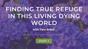 Finding True Refuge in this Living Dying World with Tara Brach (Part 1)