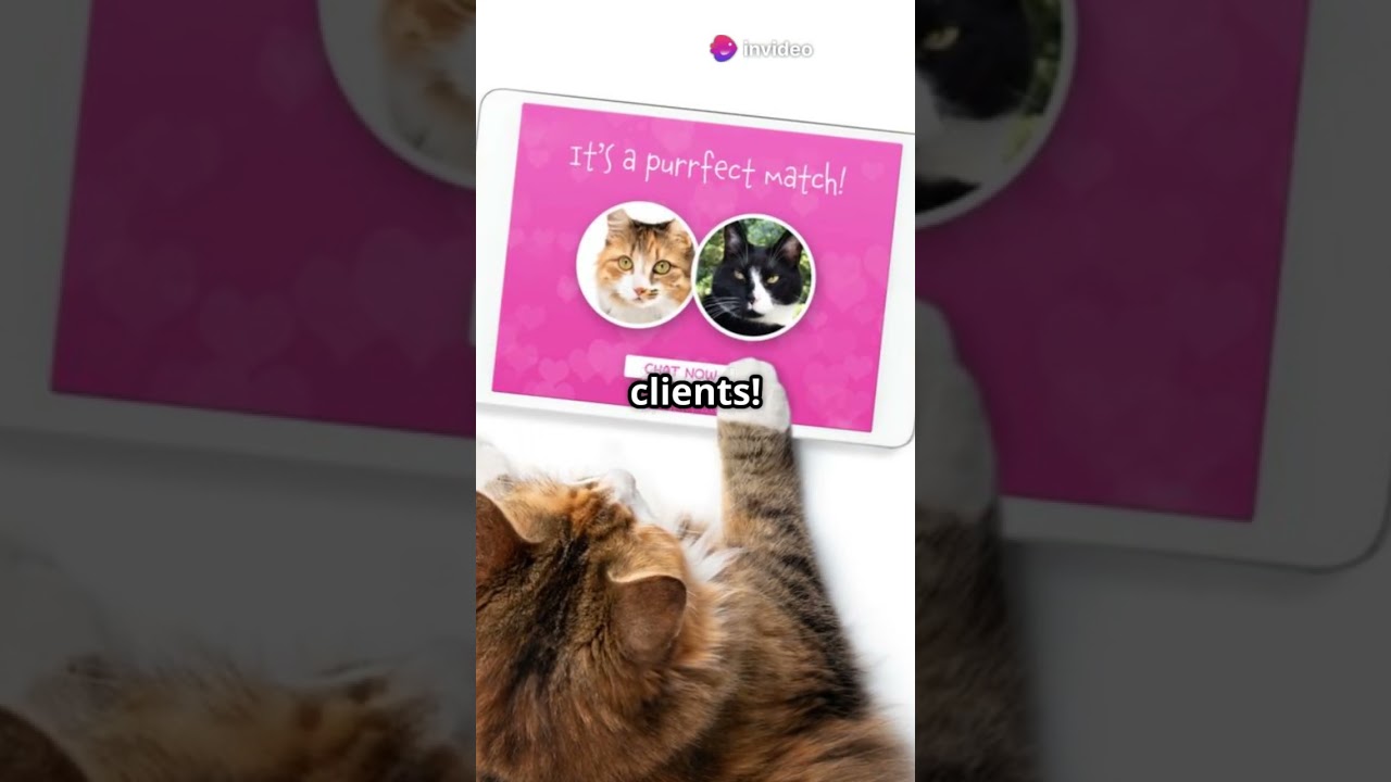 Humorous!  Cats and Dogs Go Human!