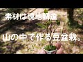 yamasibon＃52　Natural Bonsai/YAMADORI「里山遊び　自然の中で作る豆盆栽｣