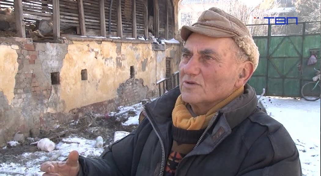 TV Pančevo – Prasići pored televizora i fotelje