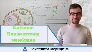 картинка: Будова клітини: Плазматична мембрана