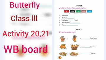 Class 3, Butterfly, English Textbook, Revision lesson, Activity 20, activity 21, WB board