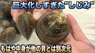 巨大化しすぎた