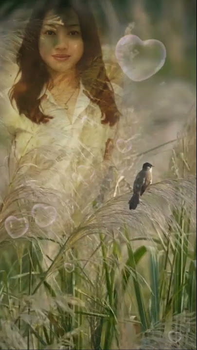 #Franky Sahilatua - Kemarin