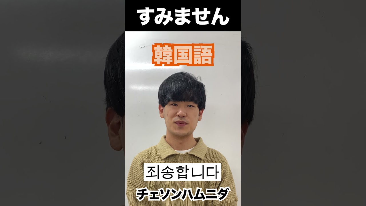 チェ ソン ハムニダ