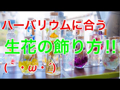 ライブ ハーバリウムに合う生花の飾り方教えちゃいます 吉祥寺の花屋花心 Youtube