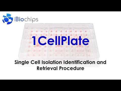 1CellPlate for Single-Cell Isolation: Identification and Retrieval