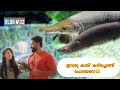 ഇന്ത്യയിലെ ഏറ്റവും വലിയ public aquariumവും അതിലെ കാഴ്ചകളും|| India’s biggest public aquarium PART 1