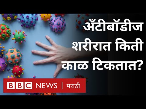 Corona Virus Antibodies Covid-19 झालेल्या रुग्णांच्या शरीरात किती काळ टिकतात? । Coronavirus Updates