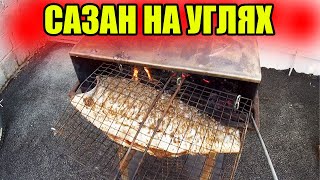 САЗАН НА УГЛЯХ ! ХРУСТЯЩАЯ КОРОЧКА , СОЧНОЕ И ВКУСНОЕ МЯСО ВНУТРИ ! Готовим просто !!!