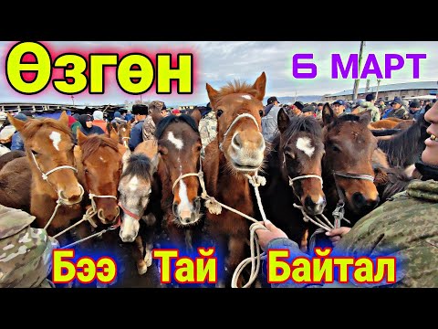 Video: Тай Берреллдин таза баасы: Wiki, үй-бүлө, үйлөнүү үлпөтү, маяна, бир туугандар