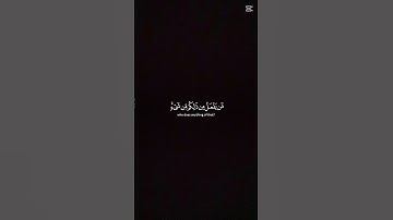 #القران_الكريم #المصحف #اكسبلور #الشيخ_ياسر_الدوسري #تلاوة_جميلة #تلاوة_خاشعة