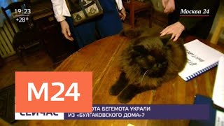 Зачем кота Бегемота украли из "Булгаковского дома" - Москва 24 Зачем кота Бегемота украли из "Булгаковского дома" - Москва 24