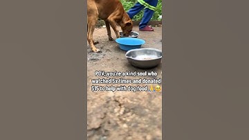 please consider donating to our PayPal link in bio on our Instagram page for support #donate