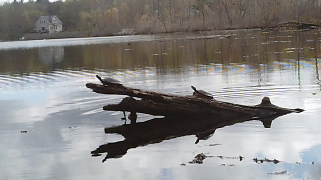 Ballston Lake, NY. Kayak Fishing May 2019 YouTube