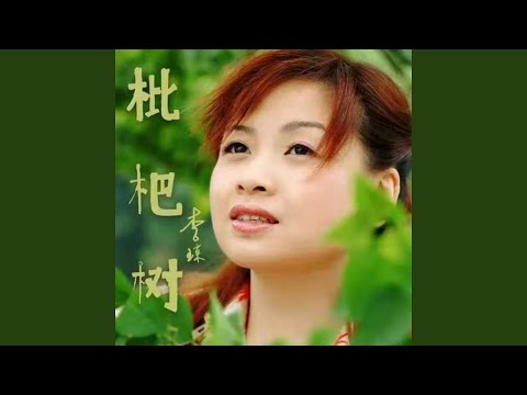 Mira 枇杷树 en YouTube Mira 枇杷树 en YouTube