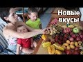 Пробуем экзотические фрукты / Страшный жук спрятался