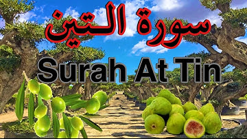 Surah At Tin - (95) - سورة الـتين Arabic & English translation Text