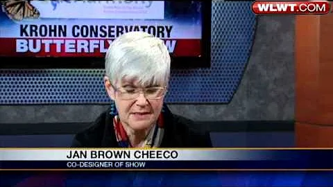 Krohn Conservatory Butterfly Show