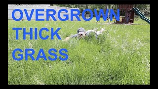 Mowing THICK OVERGROWN grass // Does the Timemaster clog?