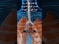 معلومات عن جسم الانسان اول مره تسمعها الجزء التاسع حقائق جسم الإنسان هل تعلم معلومات عامة Shorts 