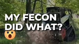 Fecon Forestry Mulching in the Hudson Valley | Land Clearing with Northern Brush Control