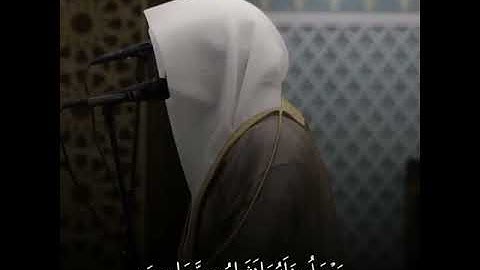 ناصر القطامي اجمل مقاطع قرآن قصيرة ❤-  حالات واتس اب دينيه 💚- تلاوة خاشعة جدا💗