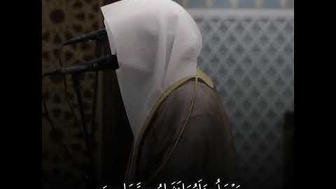 ناصر القطامي اجمل مقاطع قرآن قصيرة ❤- حالات واتس اب دينيه 💚- تلاوة خاشعة جدا💗