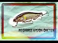 Воблер MEGABASS VISION ONETEN 110 разловлен с первого заброса. Рыбалка. Твичинг.