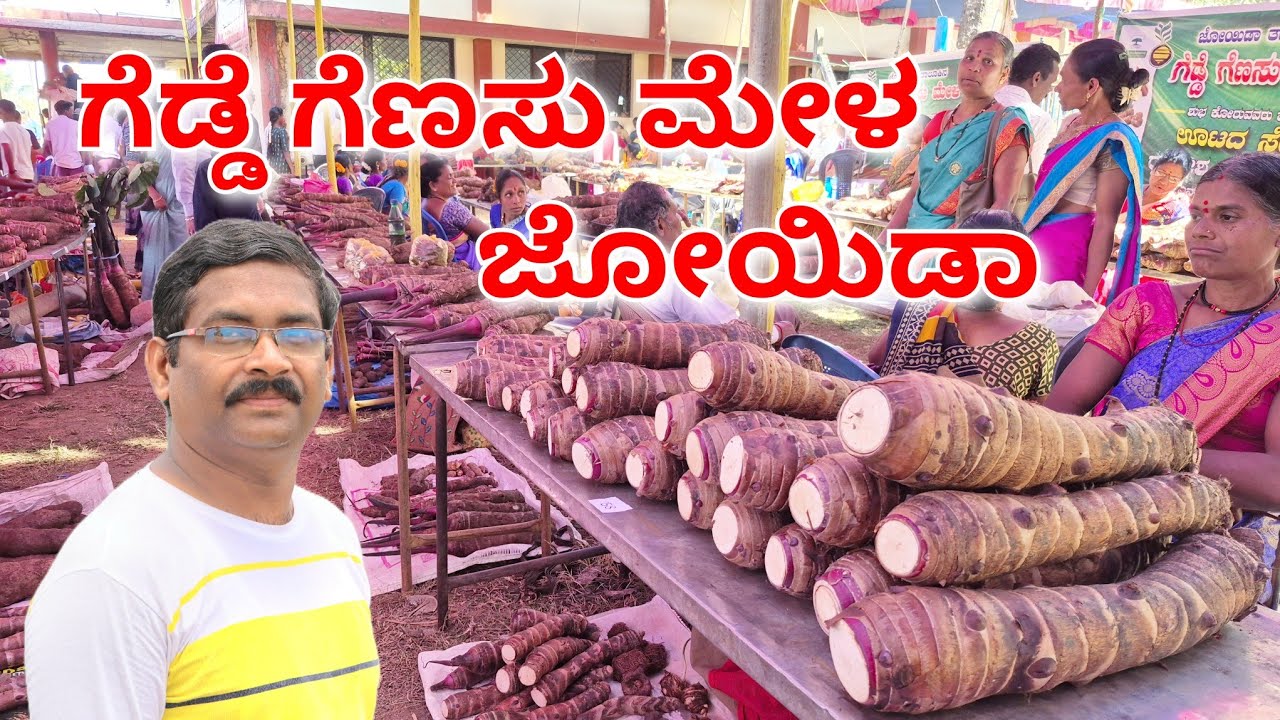 Tuber Mela Joida | ಗೆಡ್ಡೆ ಗೆಣಸು ಮೇಳ ಜೋಯಿಡಾ 