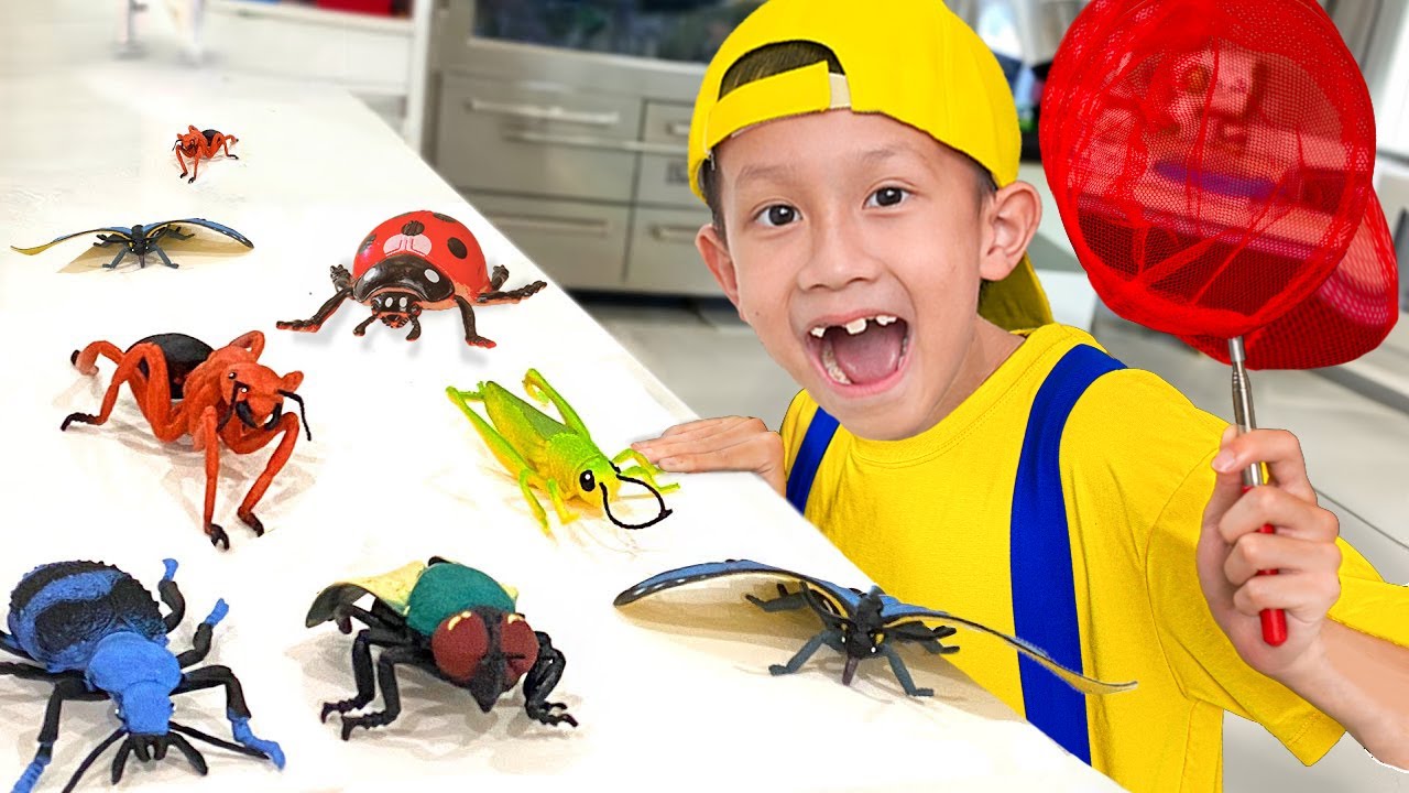 BooTiKaTi Catch Bugs at home in Teamwork Adventure and Learn facts about insects