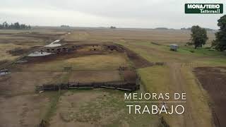 "Don David" - Mones Cazon