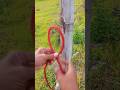 Not many people know about this node! #rope #knottying #outdoorskills