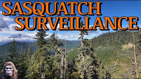 Sasquatch Surveillance Project - Motion Activated Thermal Video