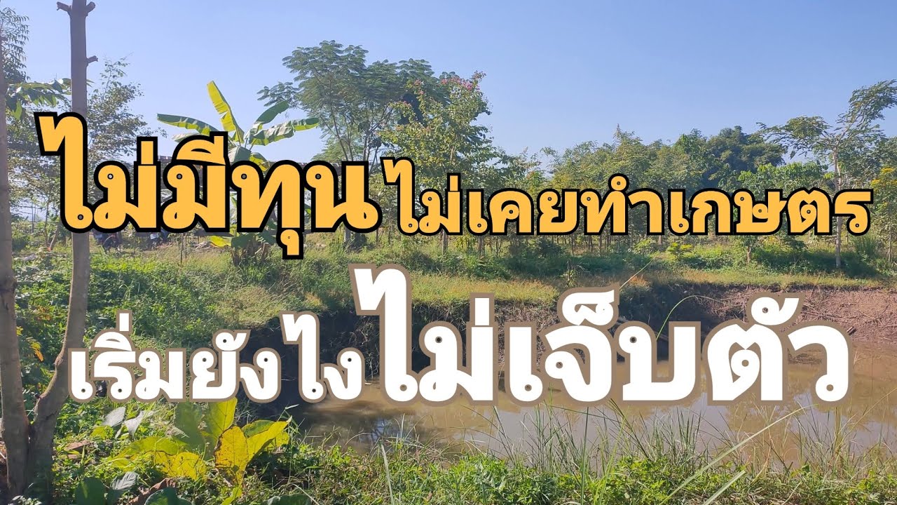 ไม่มีทุน ไม่เคยทำเกษตร เริ่มยังไง ไม่เจ็บตัว ep 48