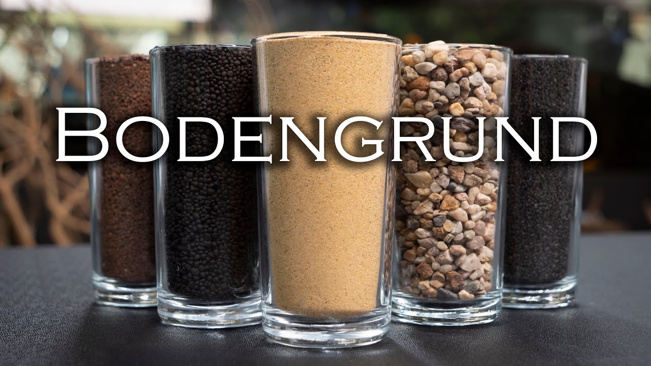 Welcher Bodengrund passt zu meinem Aquarium? | Aquado-Zoo Dortmund