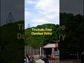 #tirumala #tirupati #temple #lordvenkateshwara #shorts