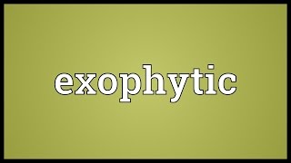 Exophytic Meaning