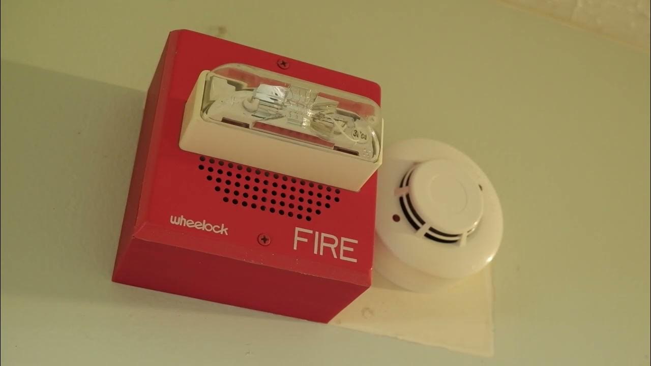 8500 Evacuation Alarm Wheelock E702430W Speaker Strobe YouTube
