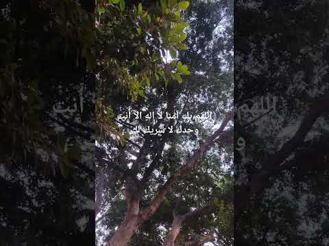 اشهد ان لا اله الا الله وحده لا شريك له واشهد ان محمد عبده ورسوله