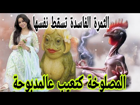 لبنى ينو باركة من الفضايح فين هي العائلة