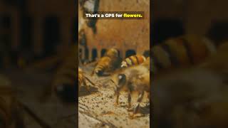 Behavioral Science in Nature