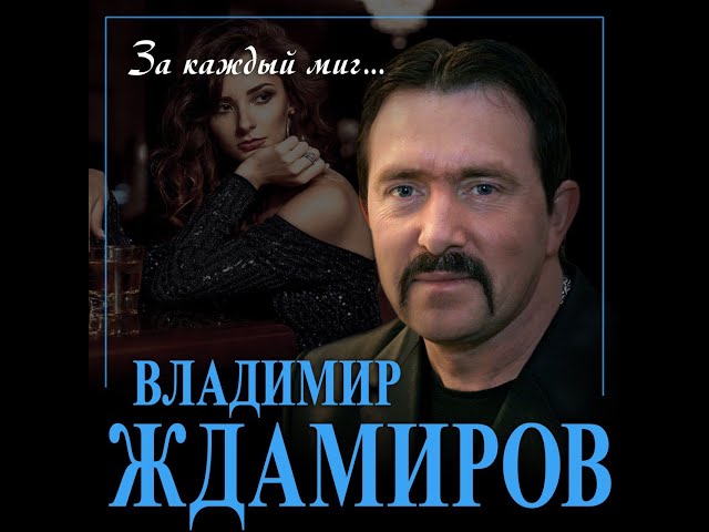 Владимир Ждамиров - За каждый миг