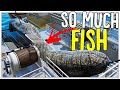 80,000 KG of Fish in 1 Net! - Is A $20,000,000 Fishing Trawler Worth It? - Fishing North Atlantic