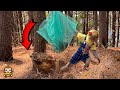 Unbelievable smart monkey yiyi rescues the poor chicken stuck in the forest