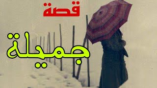 قصة الأكشن والدراما المؤثرة // هادي قصة جميلة مع عائلة الحاج ميمون