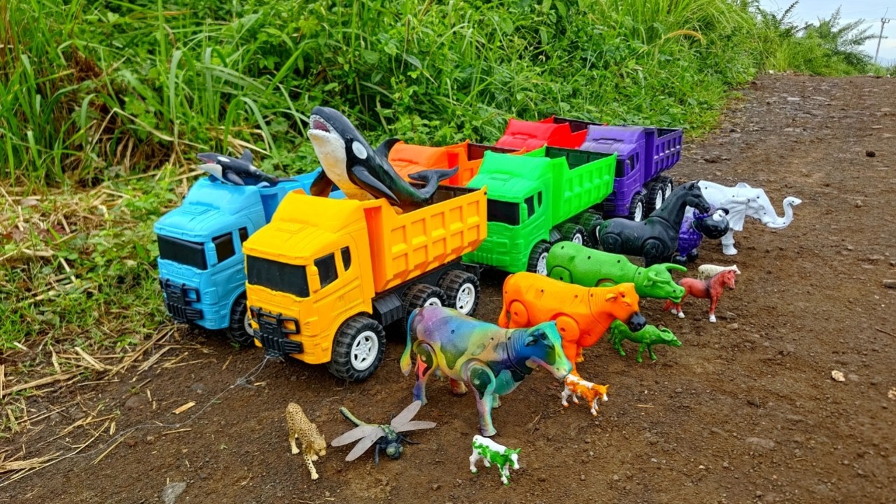 Keren‼️Paus Orca Sapi Warna Warni Gajah Kerbau Kambing Kuda Monyet Bebek Angsa diangkut Truk Oleng