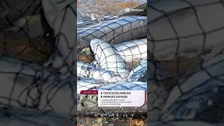 В Тюпском районе в рамках борьбы с браконьерством изъяли 7 замороженных и сушёных рыб,